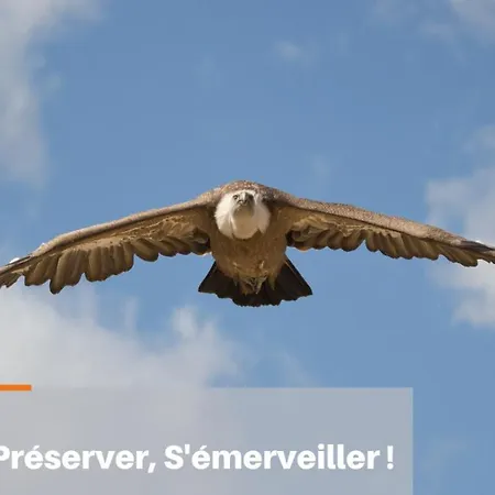 Ispaeva Semesterbostad Ispagnac