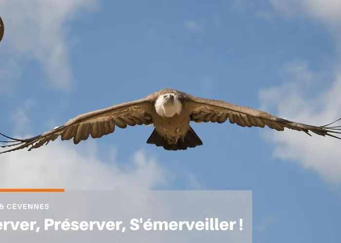 Ispaeva 펜션 Ispagnac